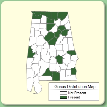 Genus Distribution Map