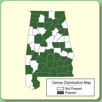 Genus Distribution Map