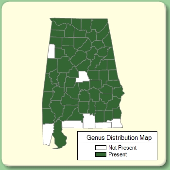 Genus Distribution Map