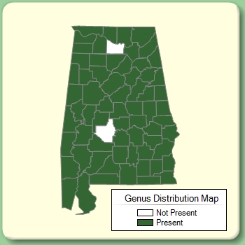 Genus Distribution Map