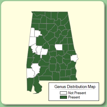 Genus Distribution Map