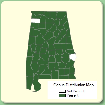 Genus Distribution Map