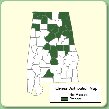 Genus Distribution Map