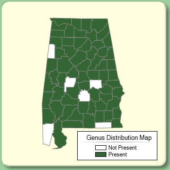 Genus Distribution Map