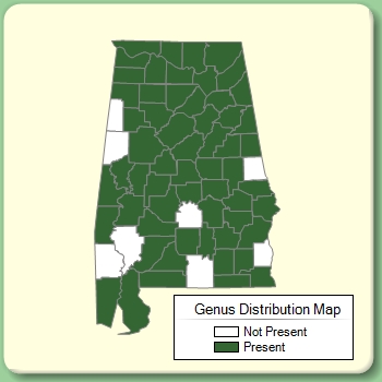 Genus Distribution Map