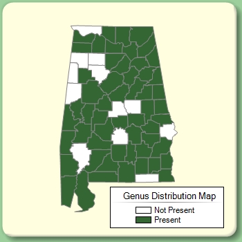 Genus Distribution Map