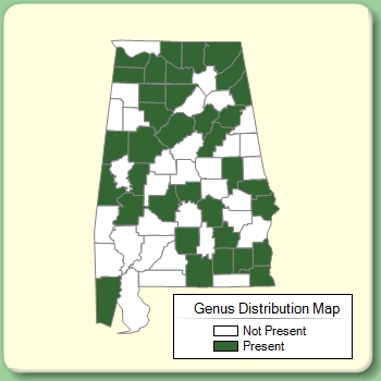 Genus Distribution Map