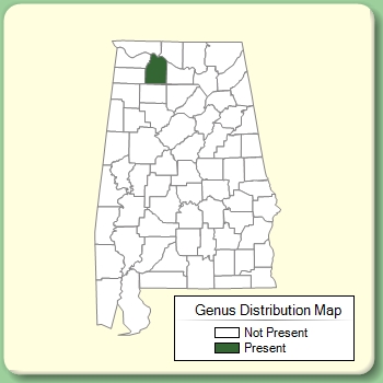 Genus Distribution Map