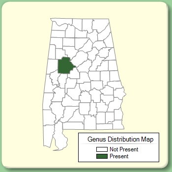 Genus Distribution Map