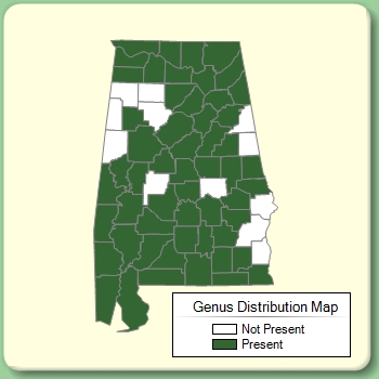 Genus Distribution Map