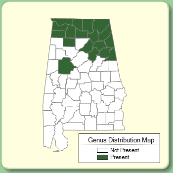 Genus Distribution Map