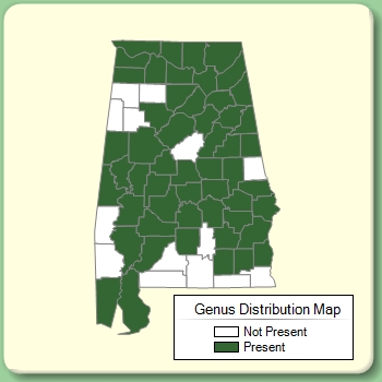 Genus Distribution Map