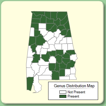 Genus Distribution Map