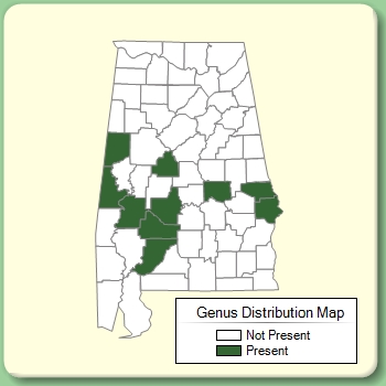 Genus Distribution Map