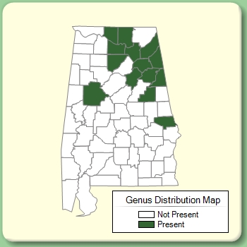 Genus Distribution Map