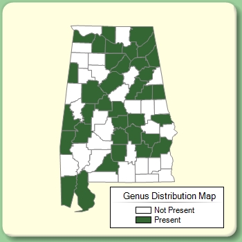 Genus Distribution Map