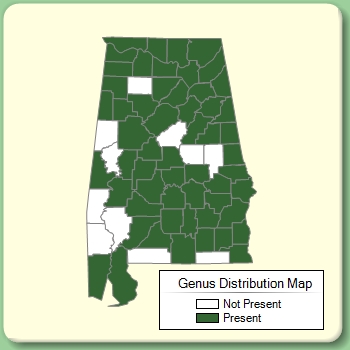 Genus Distribution Map