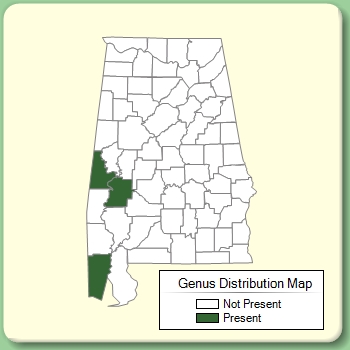 Genus Distribution Map