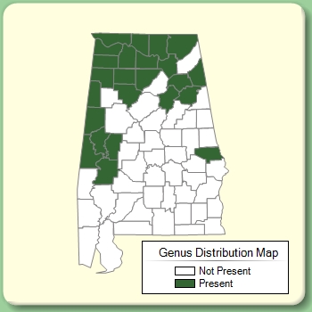 Genus Distribution Map