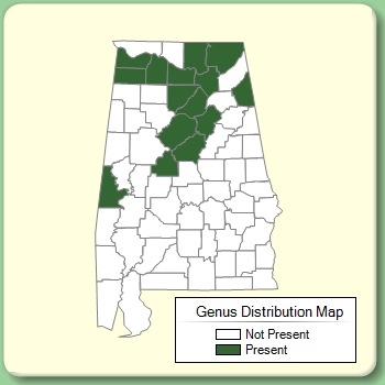 Genus Distribution Map