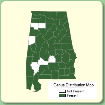 Genus Distribution Map