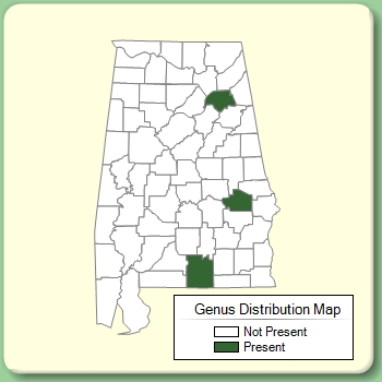 Genus Distribution Map