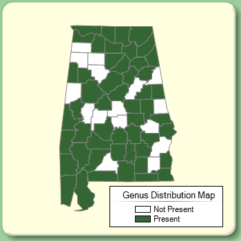 Genus Distribution Map