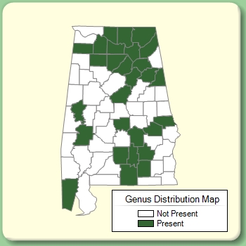 Genus Distribution Map