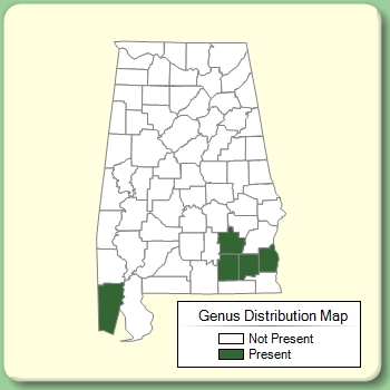 Genus Distribution Map