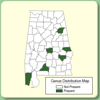 Genus Distribution Map