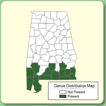 Genus Distribution Map