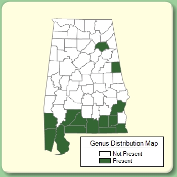 Genus Distribution Map