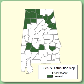 Genus Distribution Map