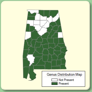 Genus Distribution Map