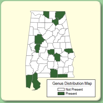 Genus Distribution Map