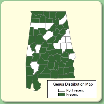 Genus Distribution Map