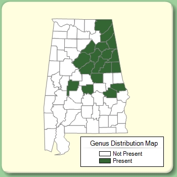 Genus Distribution Map