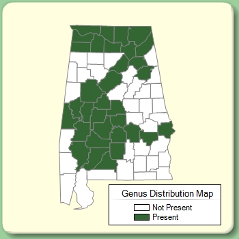 Genus Distribution Map