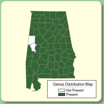 Genus Distribution Map