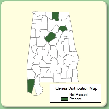 Genus Distribution Map