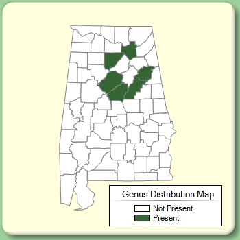 Genus Distribution Map