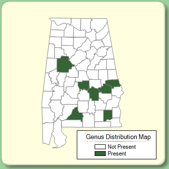 Genus Distribution Map