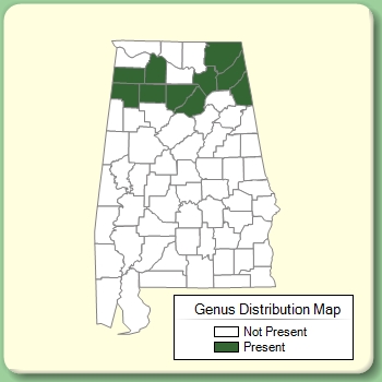 Genus Distribution Map