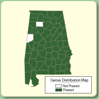 Genus Distribution Map