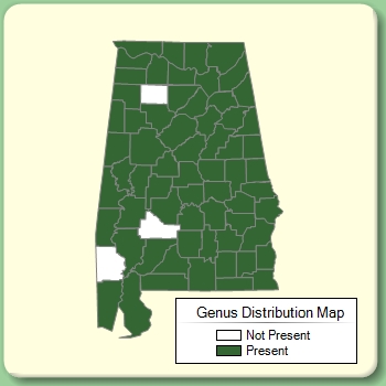 Genus Distribution Map