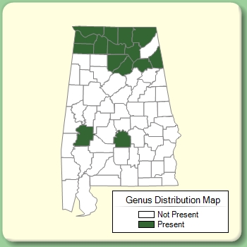 Genus Distribution Map