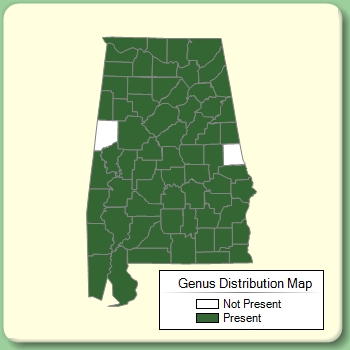 Genus Distribution Map