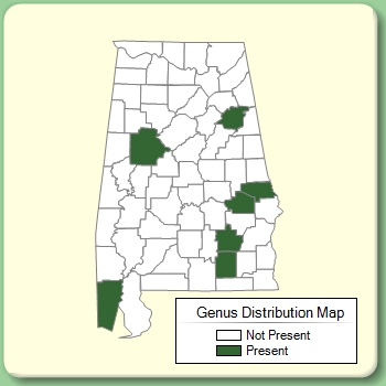 Genus Distribution Map