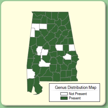 Genus Distribution Map