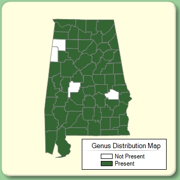 Genus Distribution Map